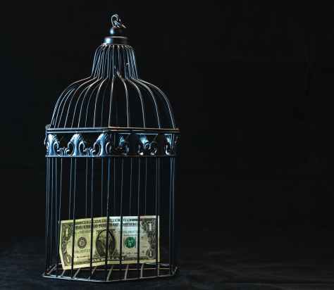 black steel pet cage with one dollar